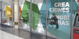 vinil transparente 1